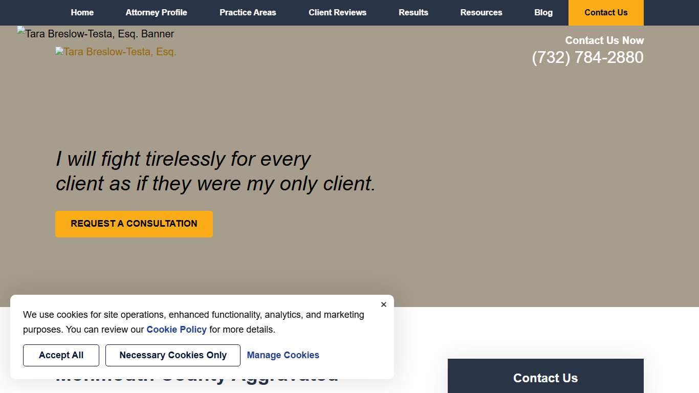 Monmouth County Aggravated Assault Lawyer Freehold Defense Attorney The Law Office of Tara Breslow-Testa, Esq.